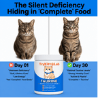 Cat Taurine Supplement