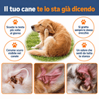 Detergente per orecchie di cani e gatti