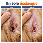 Detergente per orecchie di cani e gatti