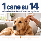 Detergente per orecchie di cani e gatti