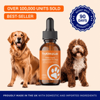 TryKittoLab Daily Dog Supplement