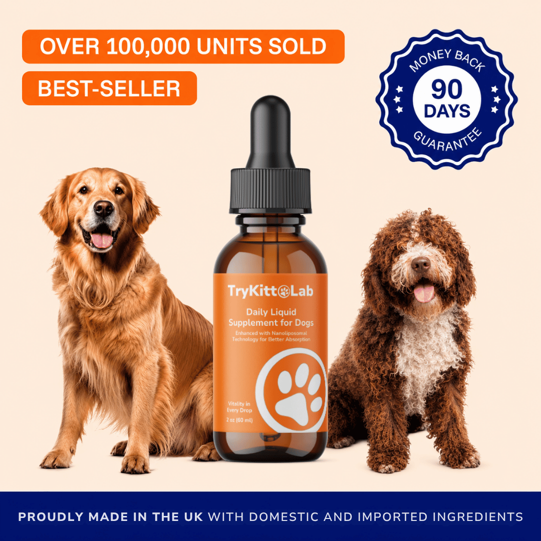 TryKittoLab Daily Dog Supplement