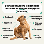 TryKitto Olio di Origano