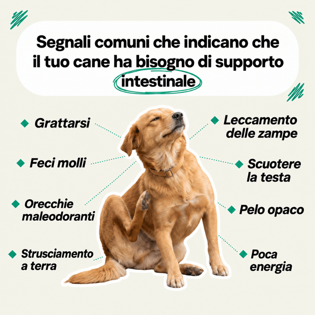 TryKitto Olio di Origano