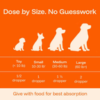 TryKittoLab Daily Dog Supplement