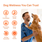 TryKittoLab Daily Dog Supplement