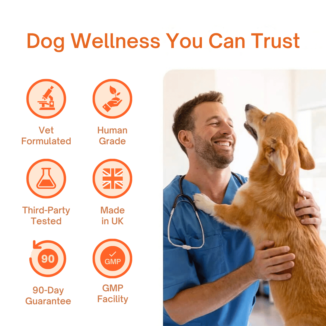 TryKittoLab Daily Dog Supplement
