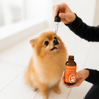 TryKittoLab Daily Dog Supplement