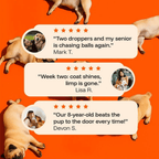 TryKittoLab Daily Dog Supplement