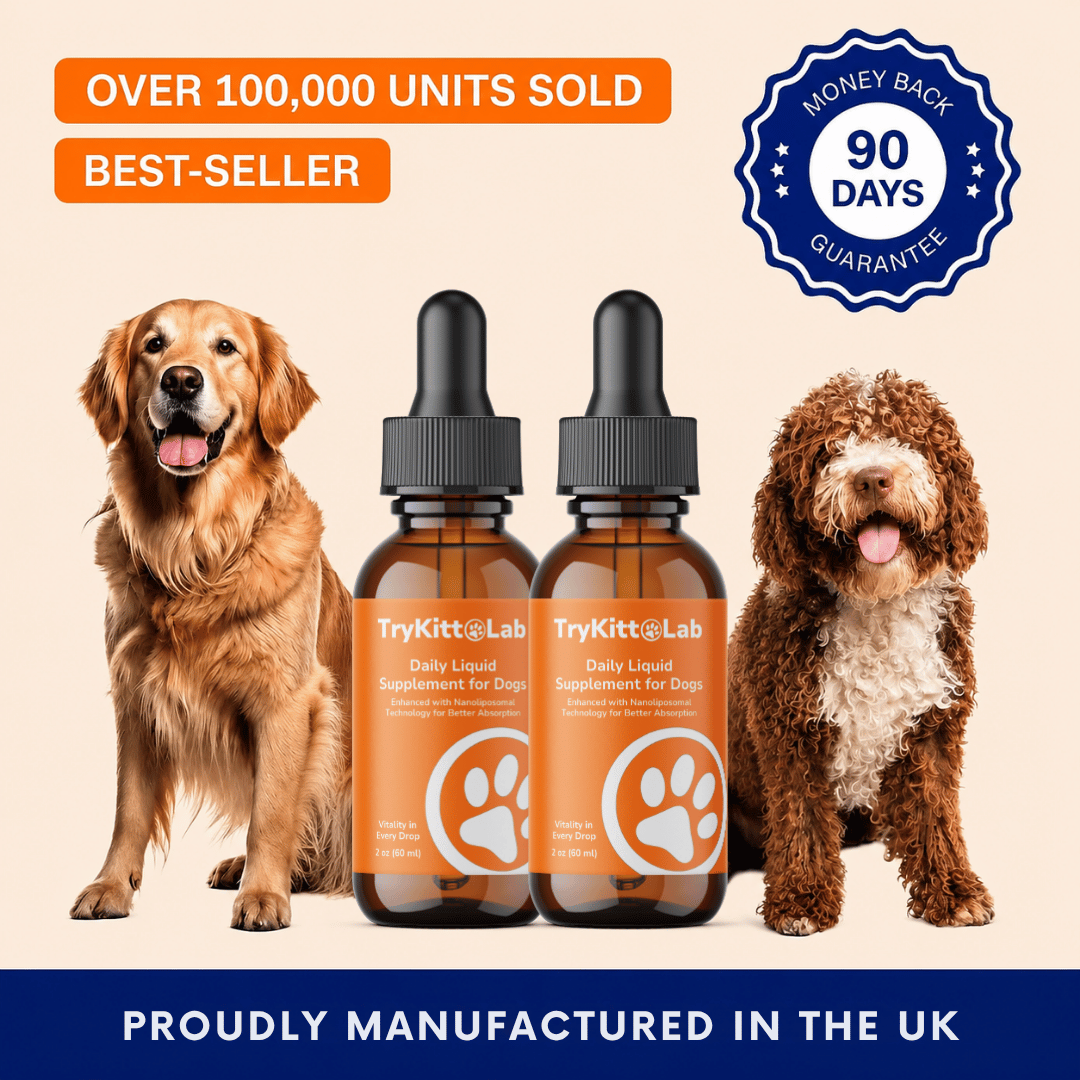 TryKittoLab Daily Dog Supplement