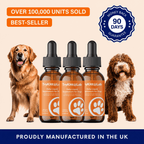 TryKittoLab Daily Dog Supplement