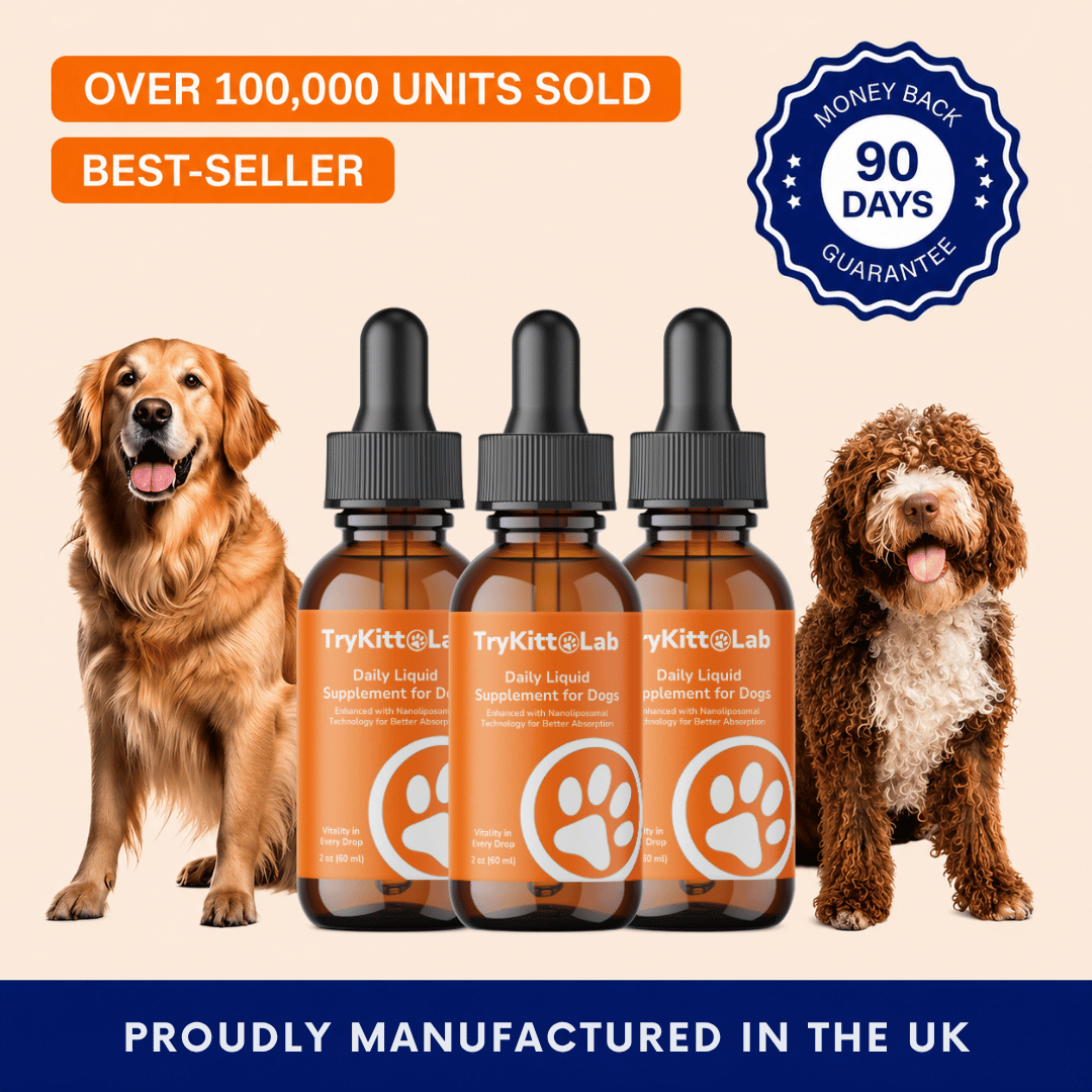 TryKittoLab Daily Dog Supplement