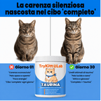 Taurina per gatti