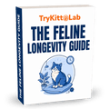 The Feline Longevity Guide